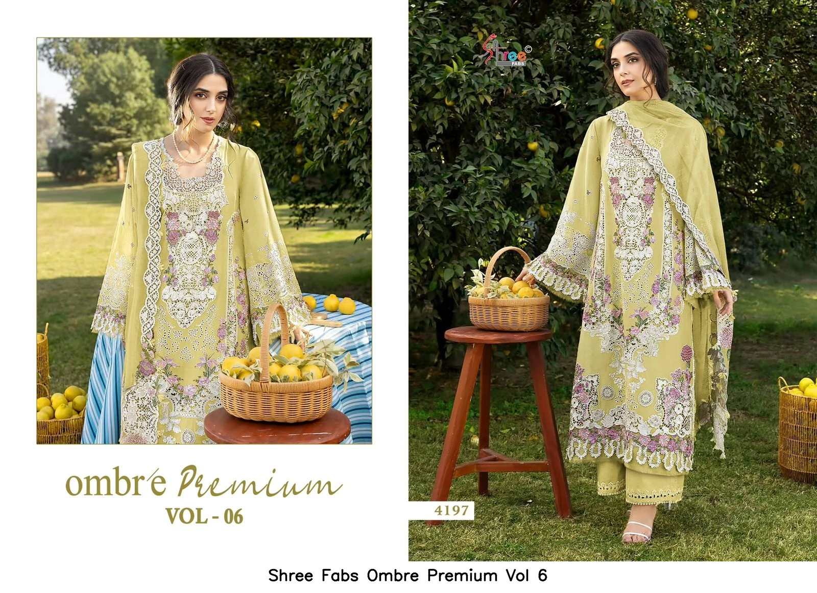Shree Fabs Ombre Premium Vol 6