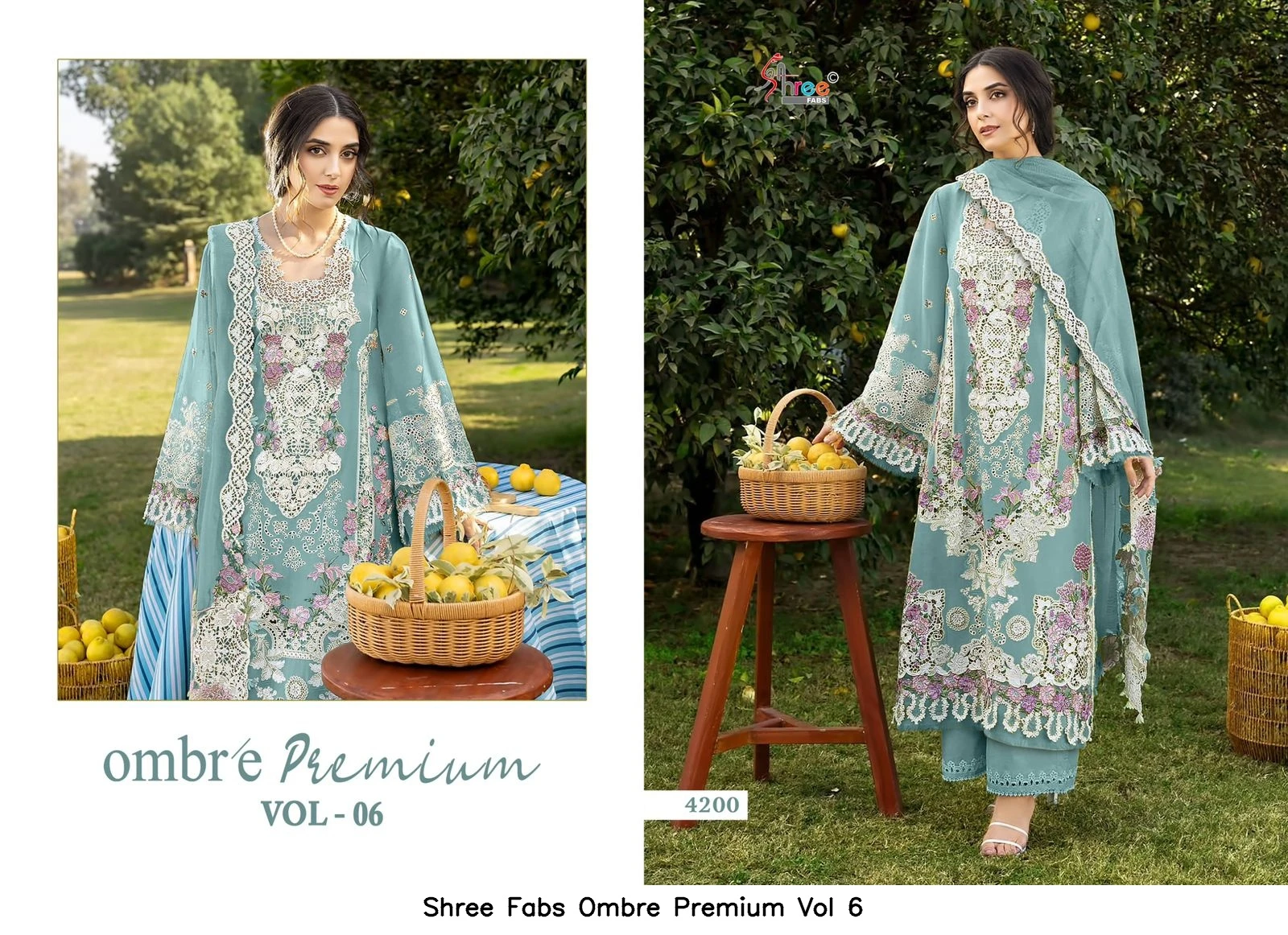 Shree Fabs Ombre Premium Vol 6