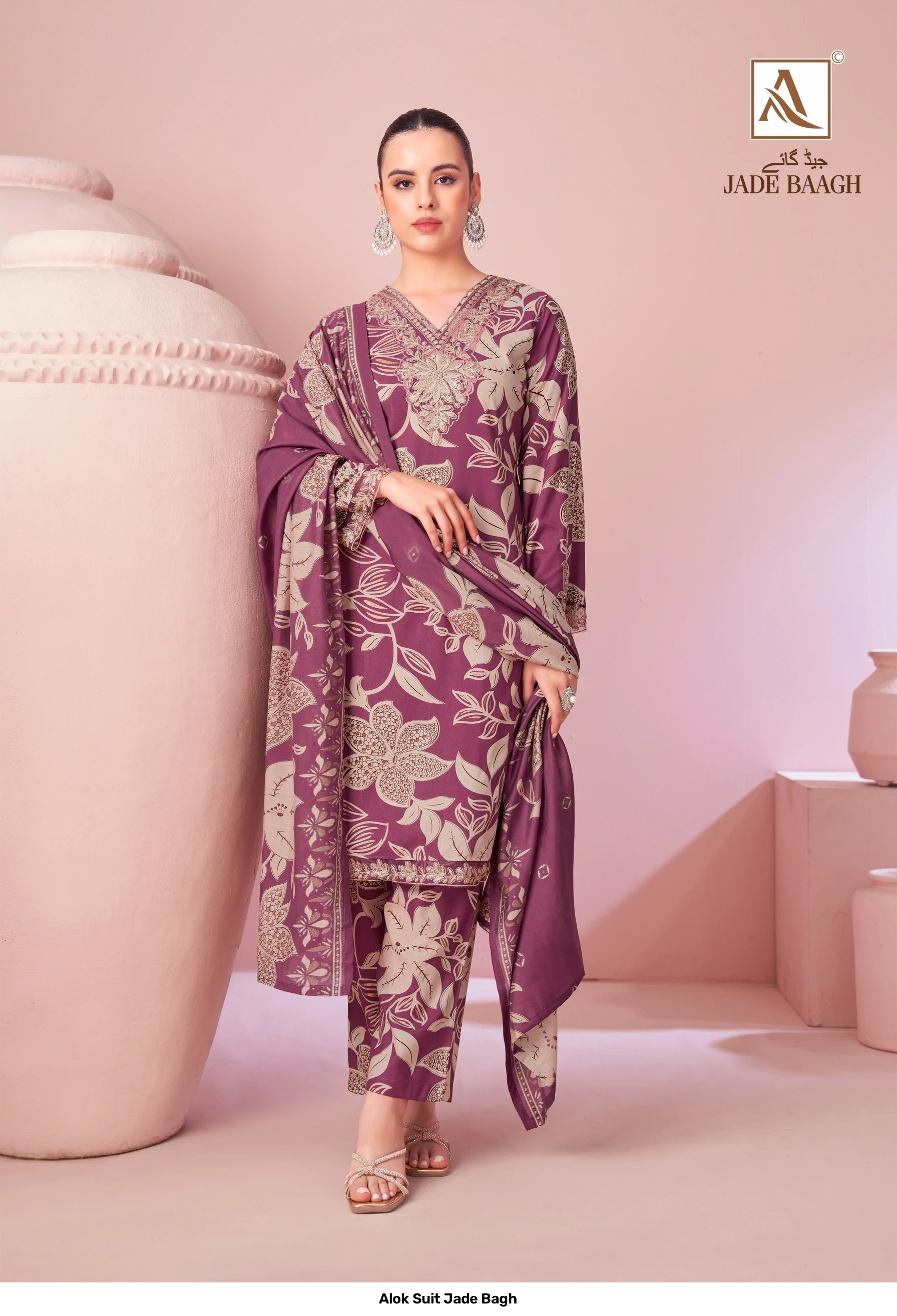 Alok Suit Jade Bagh 3