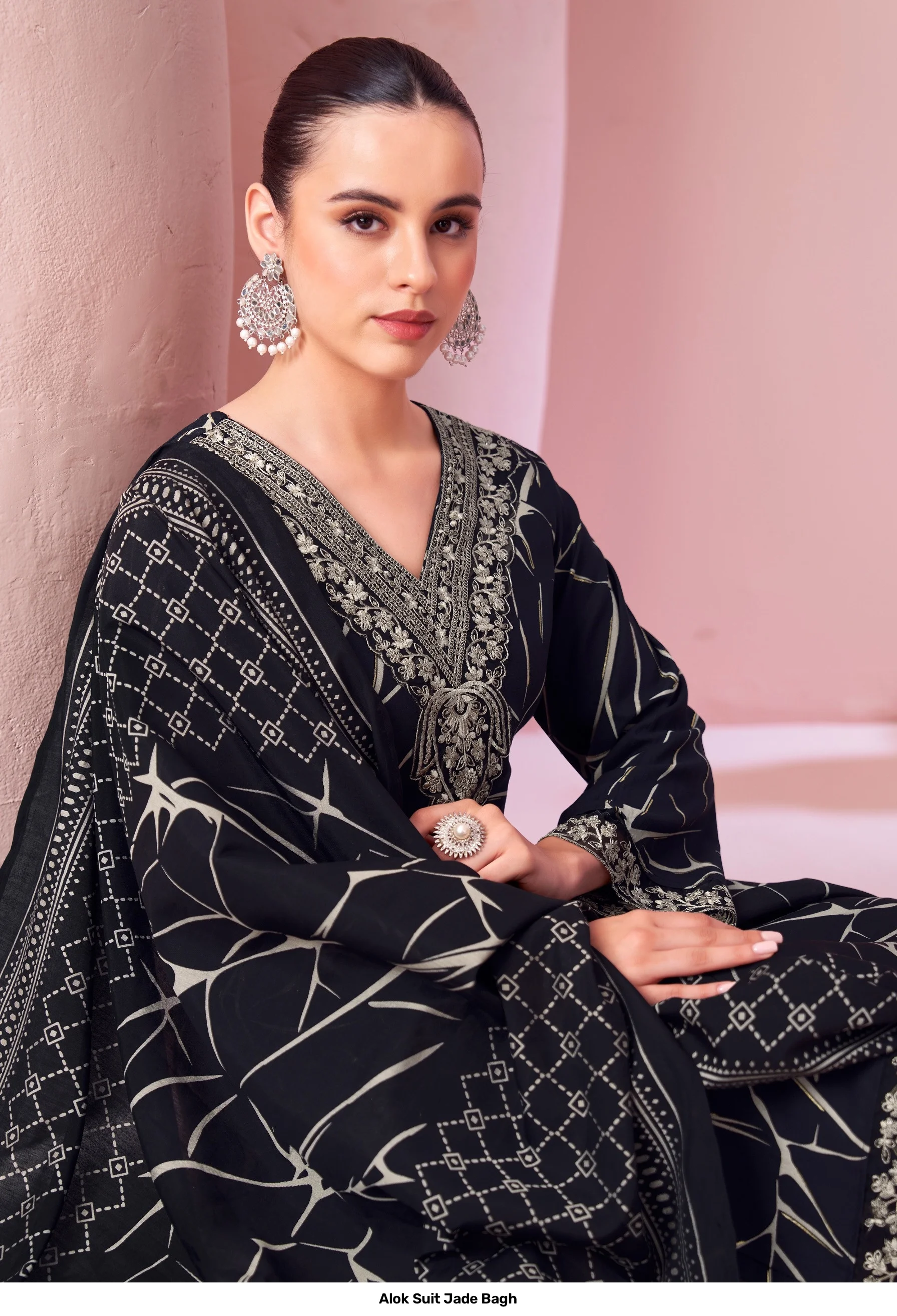 Alok Suit Jade Bagh 5