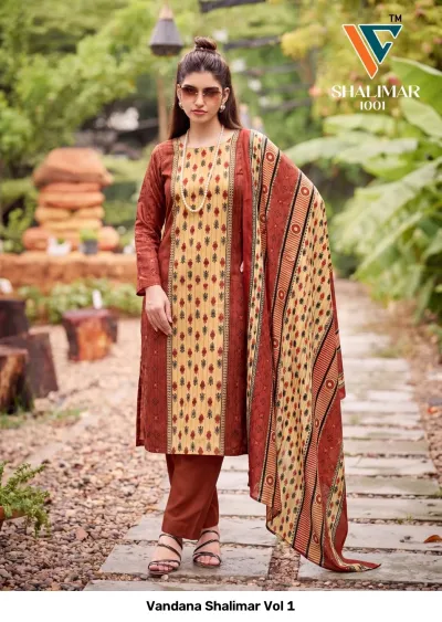 Vandana Shalimar Vol 1, brown and beige salwar suit with a vertical geometric print, matching printed dupatta, and solid brown pants.